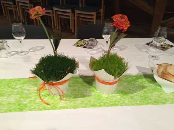IMG_3408 IMG_3408